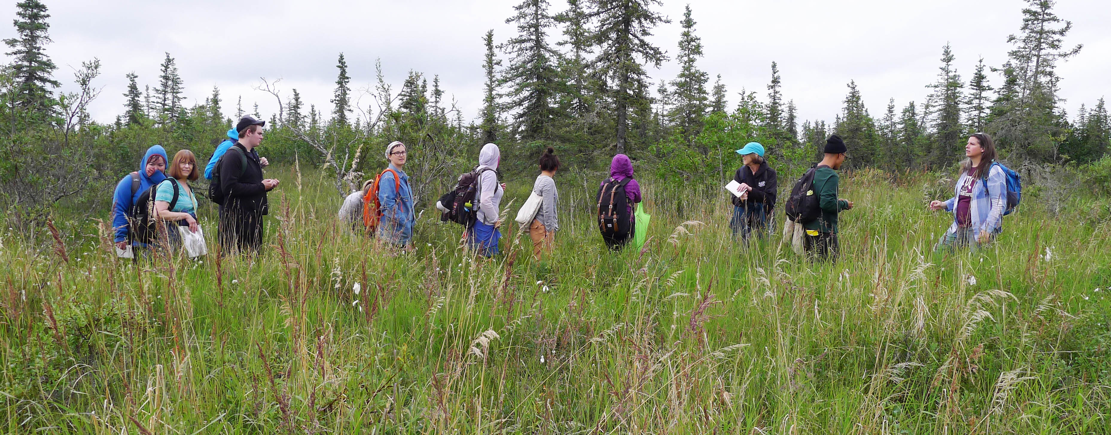 Alaska Ethnobotany – ETHNOBOTANY — the study of the ...