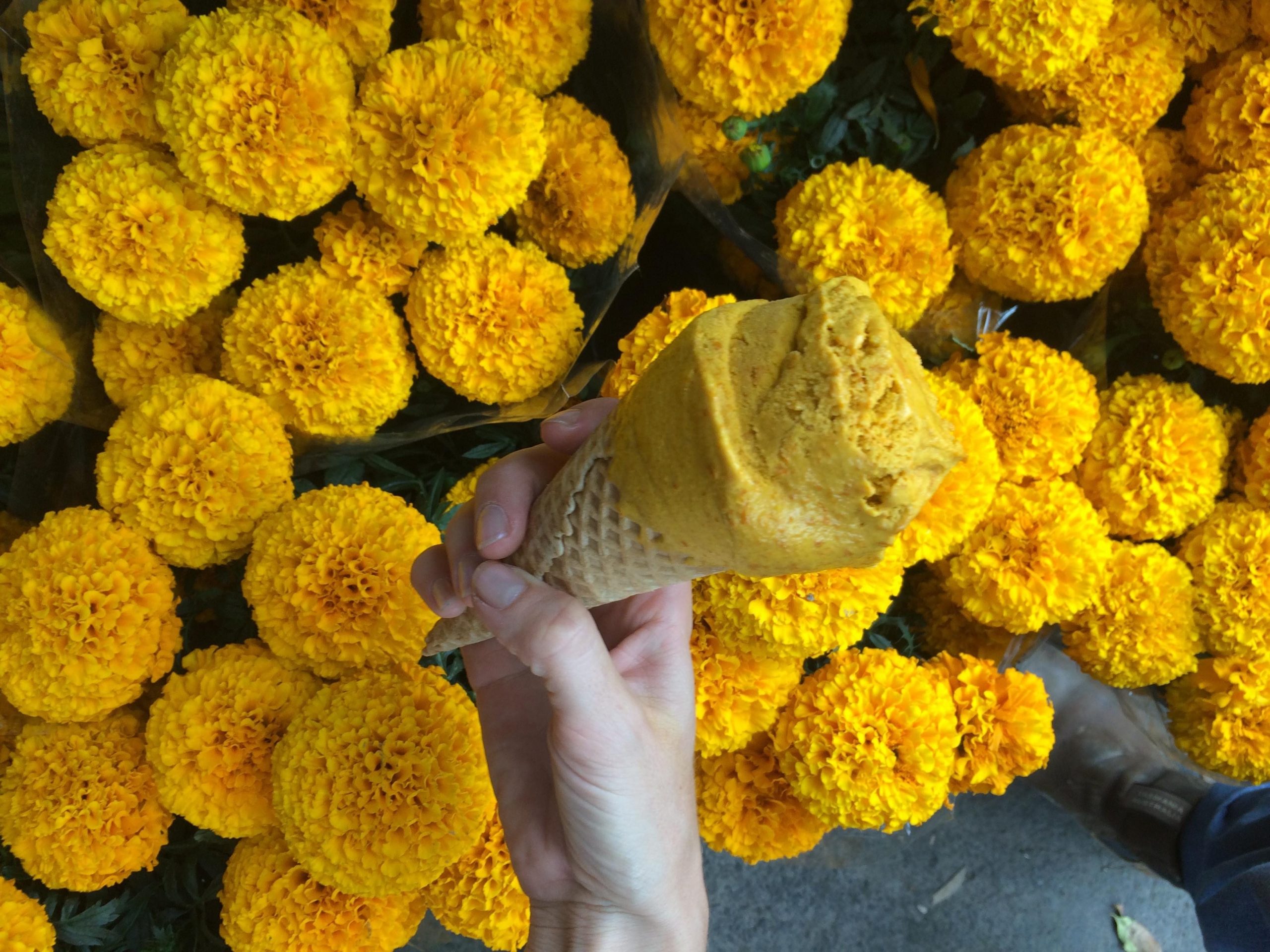 Natural Dye Project: Marigolds