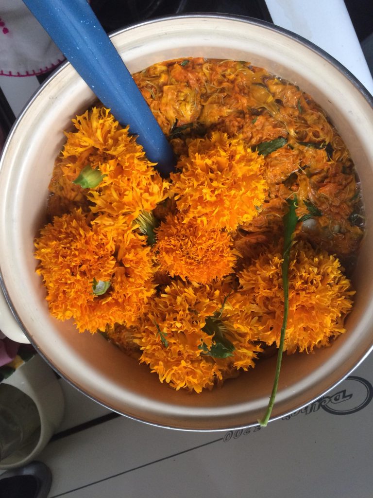 Close-up of orange marigold flowers in a pot