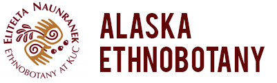 Alaska Ethnobotany