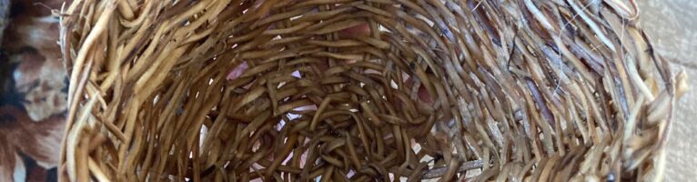 Spruce Root Basketry