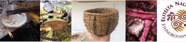 Applied Ethnobotany Final Projects