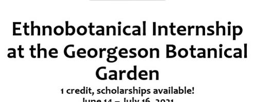 EBOT 193 Ethnobotanical Internship at the Georgeson Botanical Garden