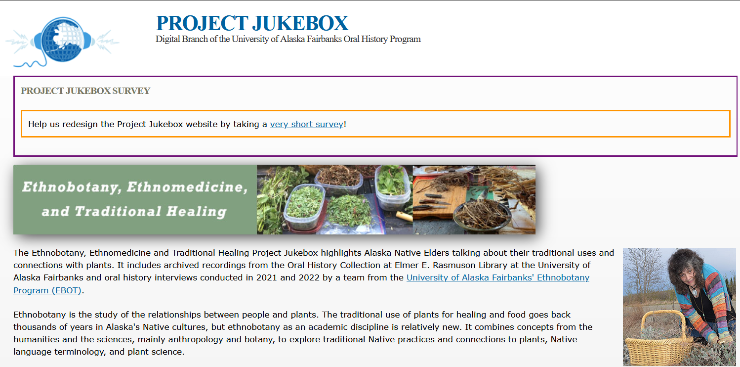 Screenshot of website