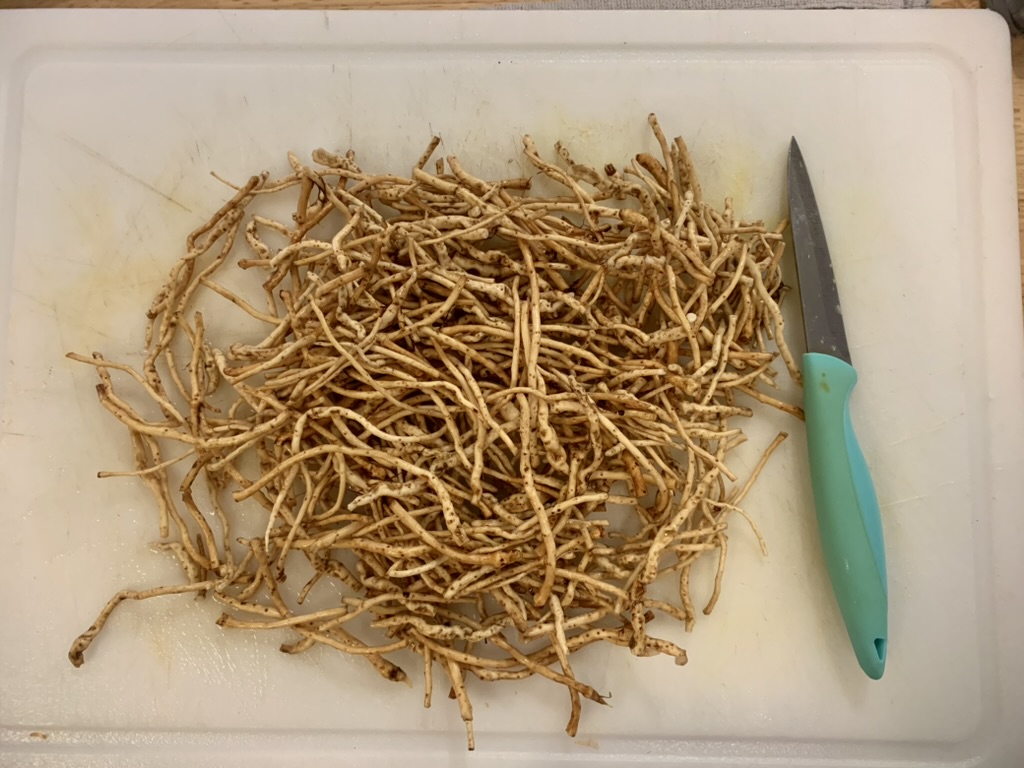Little pile of whitish, slim roots on a cutting board with a kitchen knife next to it.