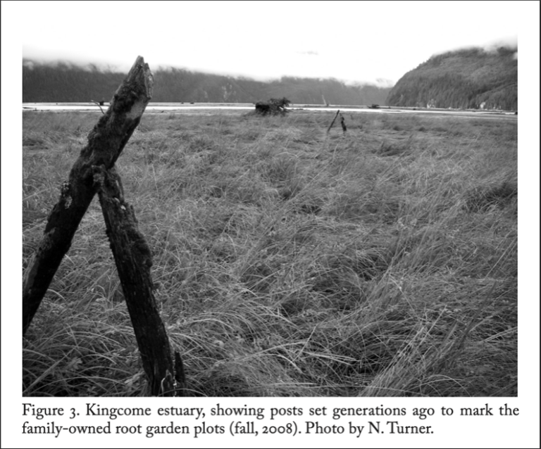 black and white photography of Kingcome estuary with posts as boundary markers